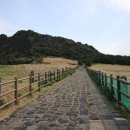 추자도남자해녀집 | 제주 성산 가볼만한곳 성산일출봉 해녀의집 물질 공연 시간