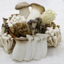 에이투피 피트니스 이미지