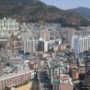 손용주태권도 이미지