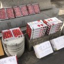 신아약국 이미지
