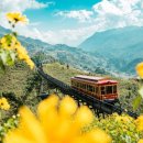 하나투어, 베트남 ‘사파’ 예약 333% 증가…신흥 인기 여행지 부상 이미지