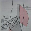 견갑상완 리듬(scapulohumeral rhythm) 이미지