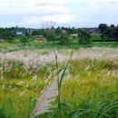 에이스 어학원 이미지