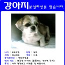 해금장 이미지