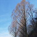 공지천 에티오피아 참전기념비 앞 | 춘천 사이로248출렁다리/의암공원/공지천조각공원