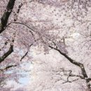 이유있소 이미지