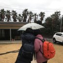 감귤게스트하우스 이미지