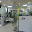 다솜동물병원 이미지