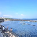 천사 태양광발전소 이미지