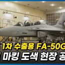 폴란드 1차 수출용 FA-50GF / 1호기 도색 현장 공개 이미지