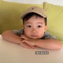 태하 카카오 검색결과