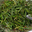 영산대역 2번출구 앞 이미지