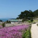 서편제 한옥펜션 이미지