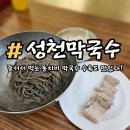 삼삼 | 성천막국수 줄서서 먹는 동치미 막국수 삼삼한 후기