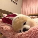 강동-천호-3000 이미지