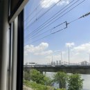 GR(가평군)-[청군로]-하-37 | 가평 청평 아침고요수목원 근처 반려동물동반 가능 카페추천 너무 예뻤던 ‘카페 임초리’