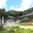 회룡사 - 1121 | 회룡사