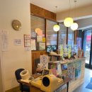 권오성의원 이미지