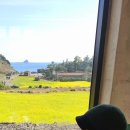 브니엘하우스 이미지