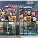 The 쇼독 이미지