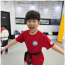 건강한 태권도장 이미지