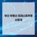 제일부동산중개 | 부산 부동산 시장에서믿고 맡길 수 있는 곳 부산 부동산 포레스트부동산중개