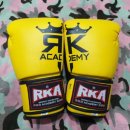 커스텀 복싱짐 이미지