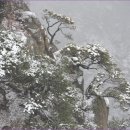 용화축산 이미지