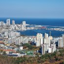 동해로공인중개사사무소 이미지