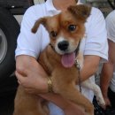 누렁이농장 이미지