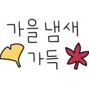 초롱엄마 이미지