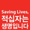 (주)코러싱 Daum카페
