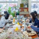 고운세상코스메틱잠실