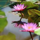 시흥시농업기술센터 2층 이미지