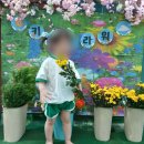 꽃잎어린이집 이미지