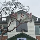 매곡외산로 | [양산 덕계 맛집] 정통 중화요리의 진수, '연경' 방문 후기! 흑미면의 쫄깃함에 반하다