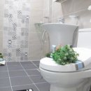 숭례초등학교 이미지