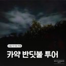 반딧불 | 보홀 아이와 여행｜아바탄강 반딧불 카약투어 내돈내산 후기