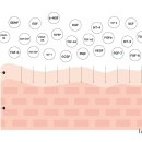 성모연합의원 이미지