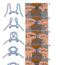 [상식] 등산화 & 운동화 끈 풀리지 않게 매듭 짓는 방법 이미지