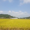 아트스페이스소리목