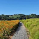 LEE 스크린골프장 이미지