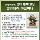 8.19(월)엄마들 숲학교 생태원예교실(칼라데아 마코야나)_오전10시30분_성인대상 이미지