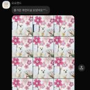 요요유치원
