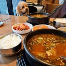 평원애견 | 동해애견동반식당 평릉한우설렁탕 내돈내산 동해국밥 아침식사