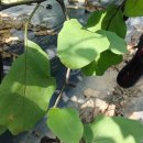 솔티농장 이미지