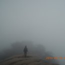 단양마늘만두 이미지