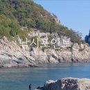거제소나무향기가족낚시펜션