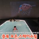 스테이 수림 | 대전근교펜션 보은 스테이수림 아이랑 감성숙소 추천