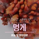 멍게가 - 강서구 | 멍게가